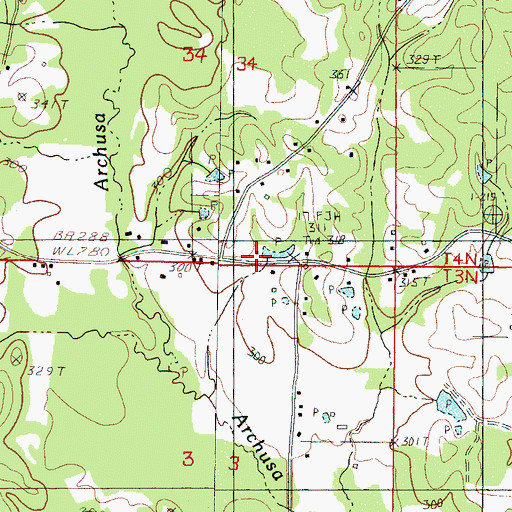 Topographic Map of Williams Store (historical), MS