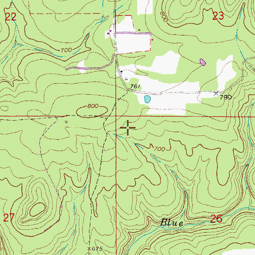 Topographic Map of Township of Relief, AR