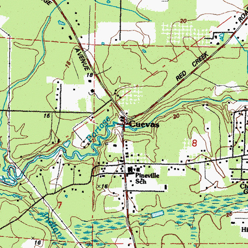 Topographic Map of Cuevas, MS