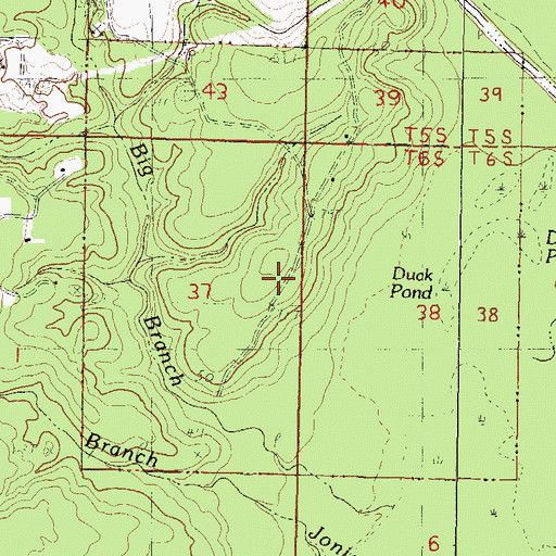 Topographic Map of Duck Pond (historical), MS