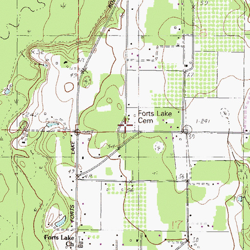 Topographic Map of Forts Lake Cemetery, MS