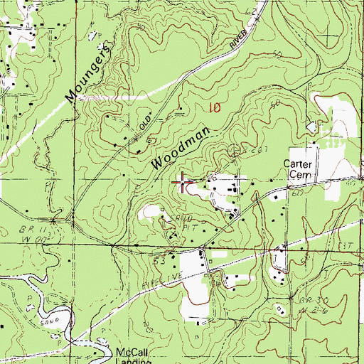 Topographic Map of Live Oak School, MS