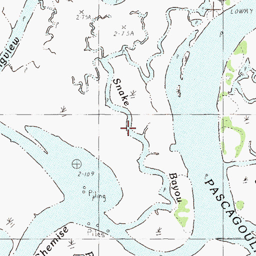 Topographic Map of Snake Bayou, MS