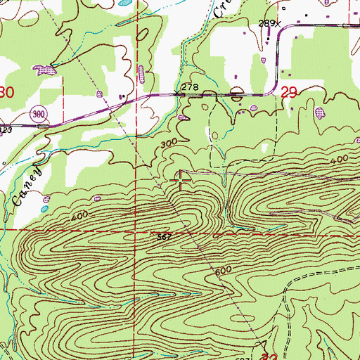 Topographic Map of Township of Rankin, AR