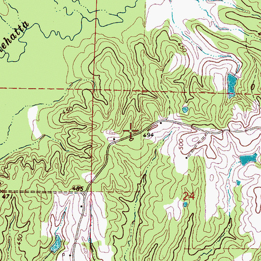 Topographic Map of Leach Store (historical), MS