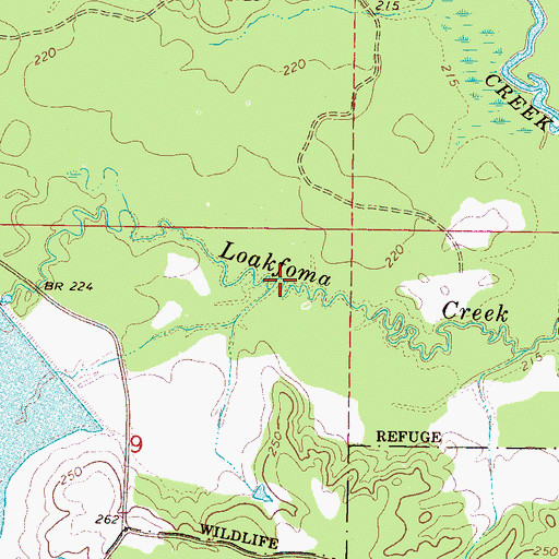 Topographic Map of Long Branch, MS