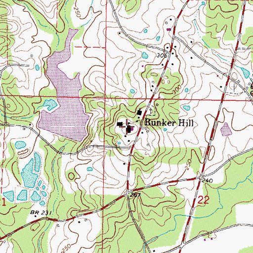 Topographic Map of Bunker Hill School, MS