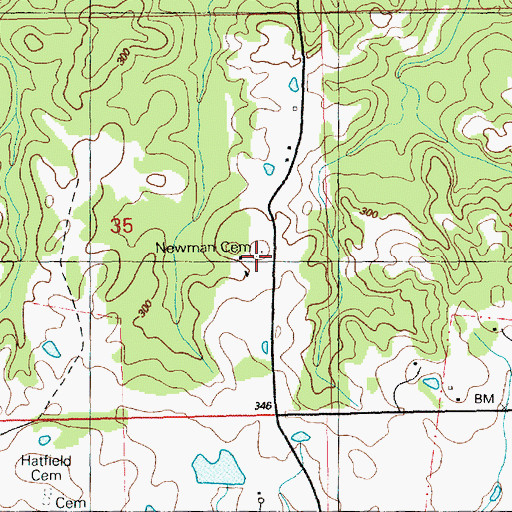 Topographic Map of Newman Cemetery, MS
