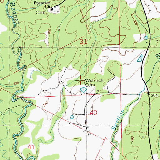 Topographic Map of Womack Cemetery, MS