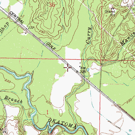 Topographic Map of Pickering (historical), MS