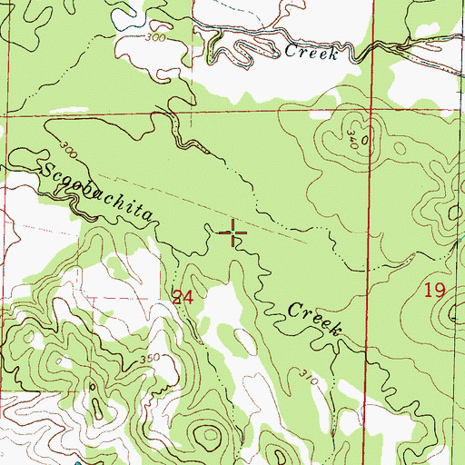 Topographic Map of Mitchells Mill (historical), MS