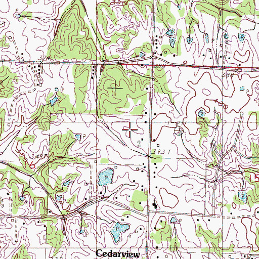 Topographic Map of Cedarview, MS