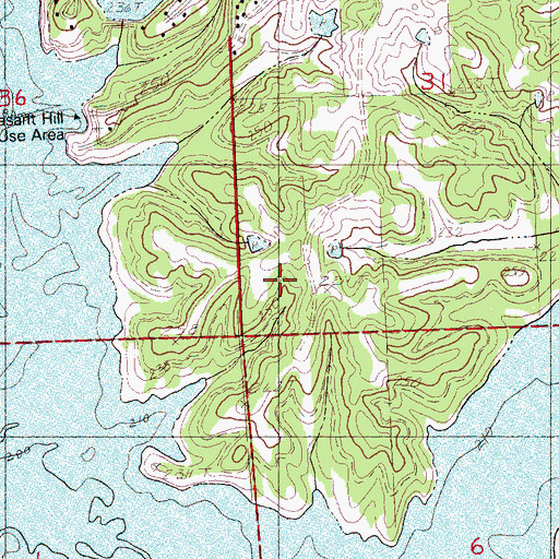 Topographic Map of J F Conger Pond Dam, MS