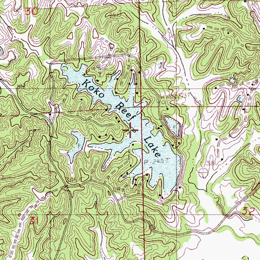 Topographic Map of Koko Reef Lake, MS