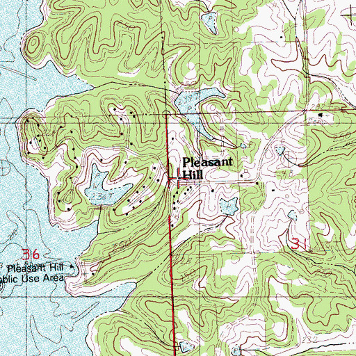 Topographic Map of Pleasant Hill, MS