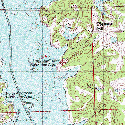Topographic Map of Pleasant Hill Public Use Area, MS