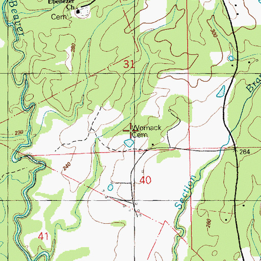 Topographic Map of Womack Cemetery, MS