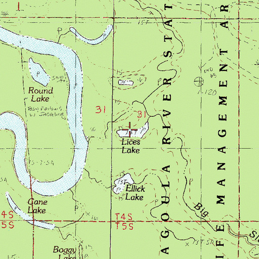 Topographic Map of Lices Lake, MS