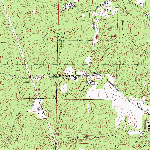 Topographic Map of Mount Sinai Church, MS