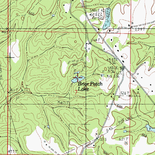 Topographic Map of Briar Patch Lake, MS