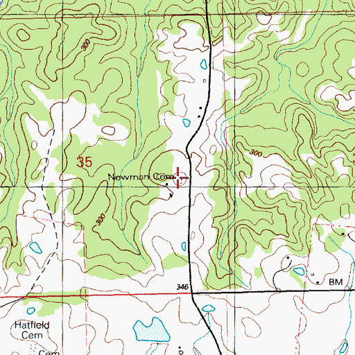 Topographic Map of Newman Cemetery, MS