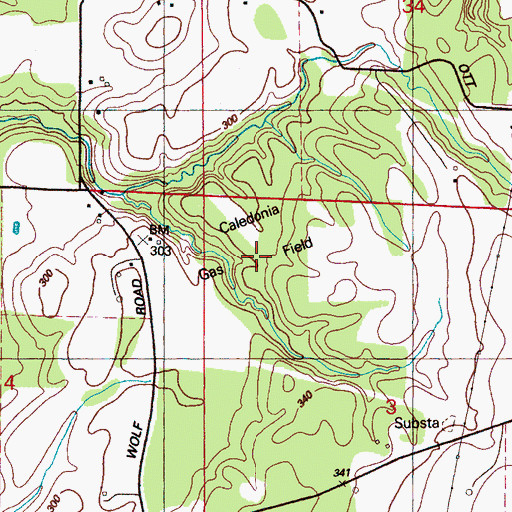 Topographic Map of Caledonia Gas Field, MS