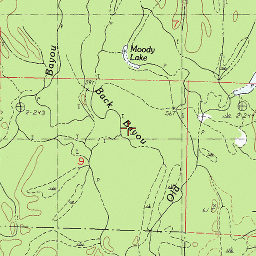 Topographic Map of Back Bayou, MS