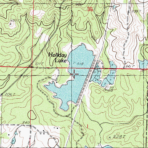 Topographic Map of Holiday Lake, MS