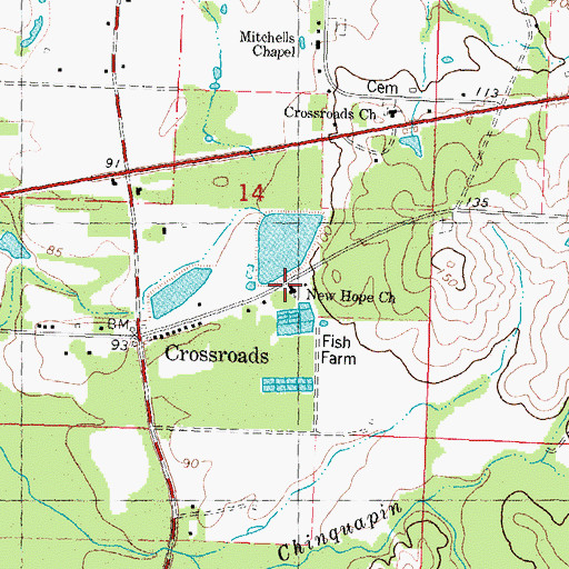 Topographic Map of New Hope Church, MS