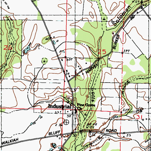Topographic Map of Pine Grove Church, MS