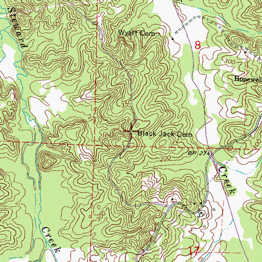 Topographic Map of Black Jack Cemetery, MS
