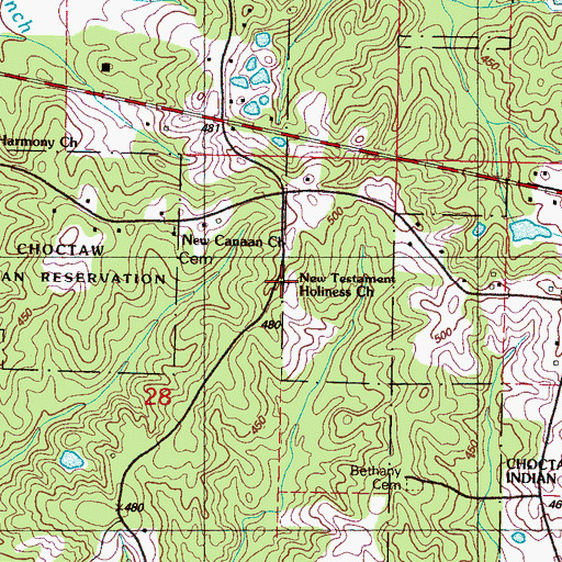 Topographic Map of New Testament Holiness Church, MS