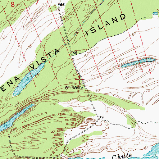 Topographic Map of Buena Vista Oil Field, MS