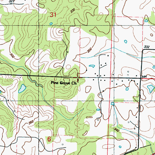 Topographic Map of Pine Grove Church, MS