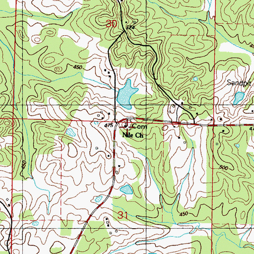 Topographic Map of Nile Church, MS