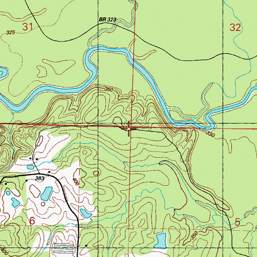 Topographic Map of Dumas Cemetery (historical), MS