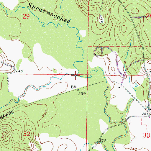 Topographic Map of Snoody Creek, MS