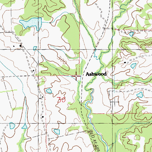 Topographic Map of Ashwood, MS