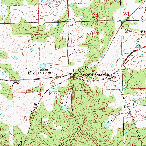 Topographic Map of Beech Grove, MS