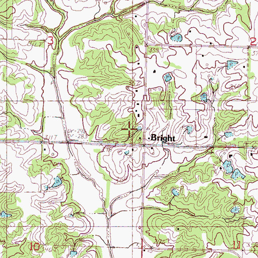 Topographic Map of Bright, MS