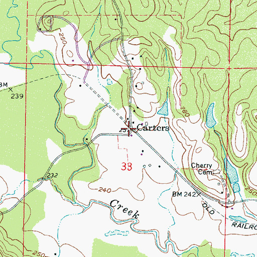 Topographic Map of Carters, MS