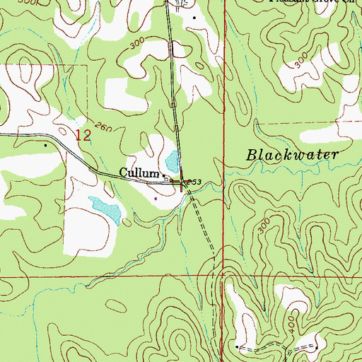 Topographic Map of Cullum, MS