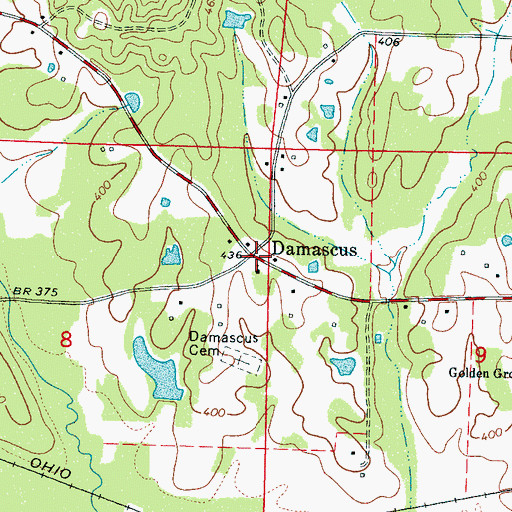 Topographic Map of Damascus, MS