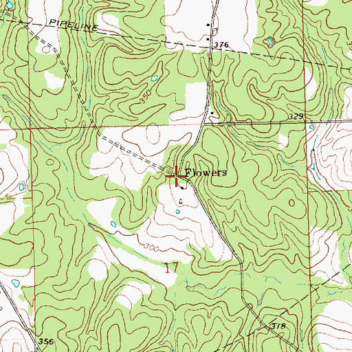 Topographic Map of Flowers, MS
