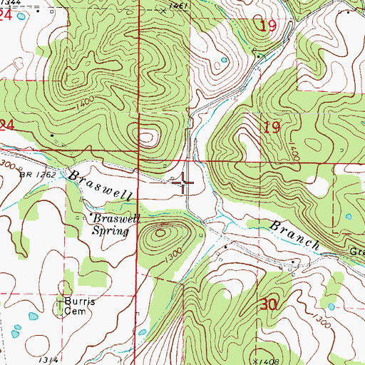 Topographic Map of Brasswell Spring (historical), AR