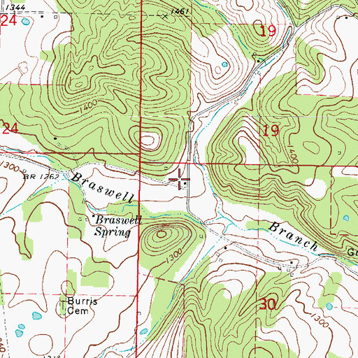 Topographic Map of Braswell Springs School (historical), AR