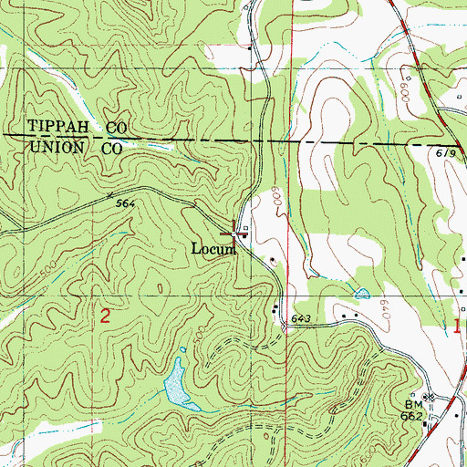 Topographic Map of Locum, MS