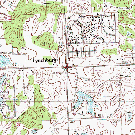Topographic Map of Lynchburg, MS