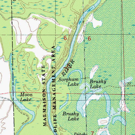 Topographic Map of Sorghum Mill Lake, MS