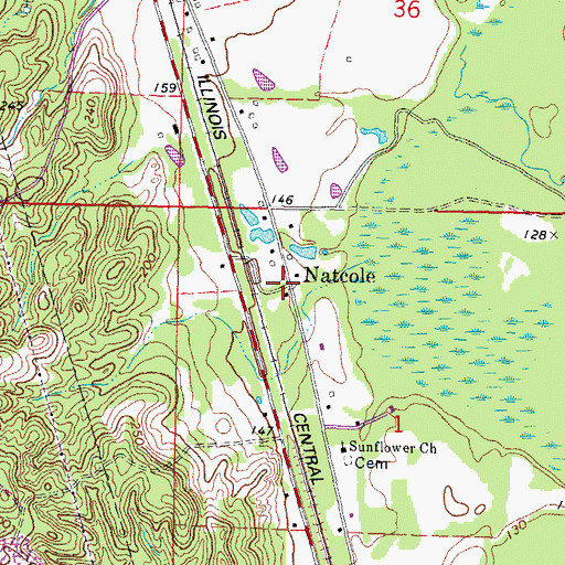 Topographic Map of Natcole, MS